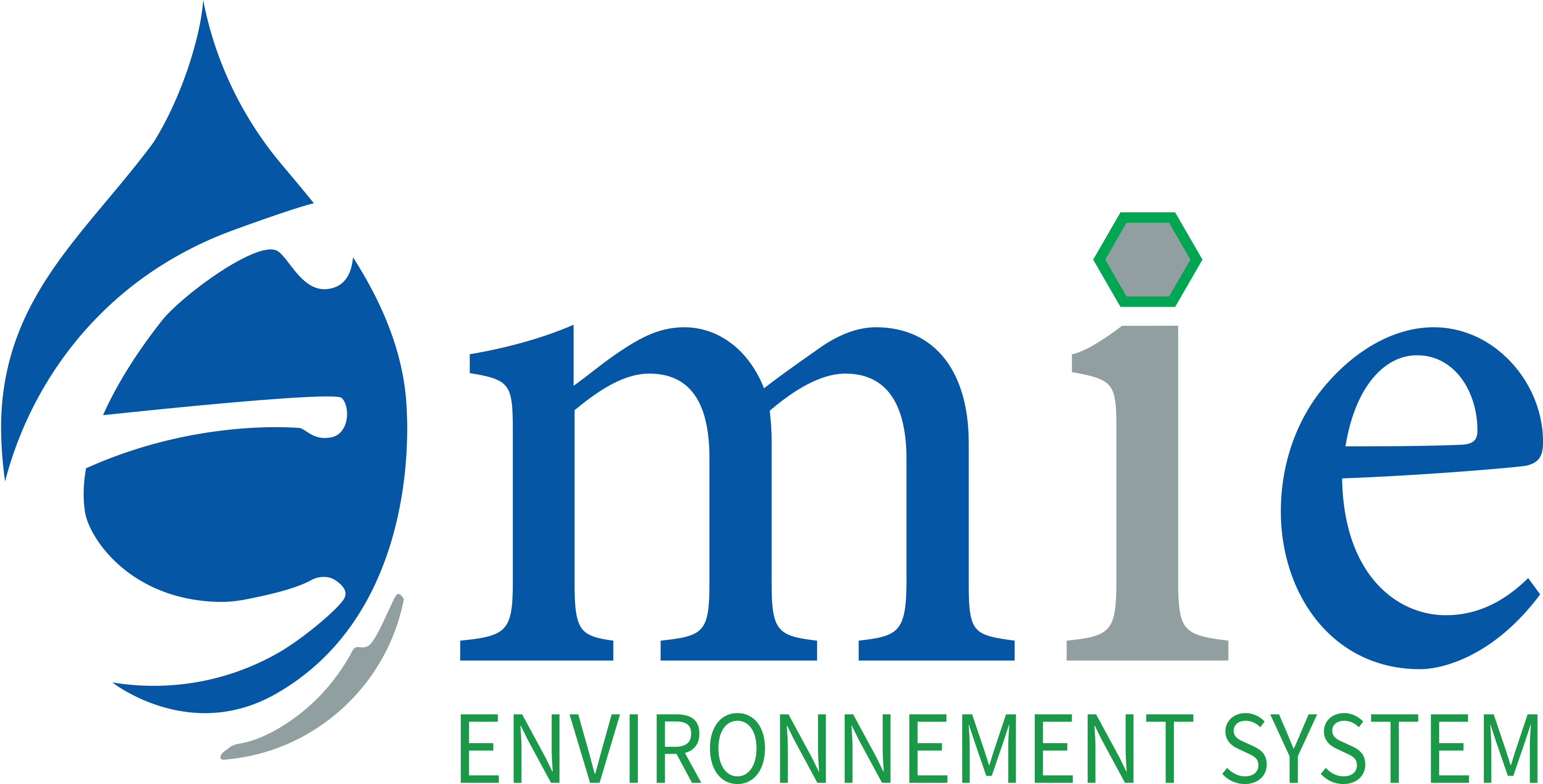 LOGO-EMIE